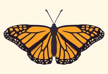 糖心vlog｜藏在日常里的情绪低落分享浪漫