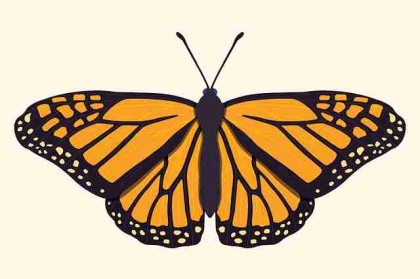 糖心vlog｜藏在日常里的情绪低落分享浪漫