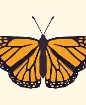 成人抖音上线全新专题｜深夜放送让人欲罢不能