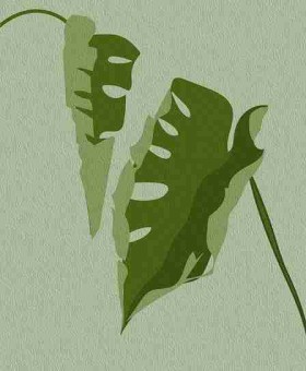 糖心vlog｜关于朋友聚会的琐碎片段合集