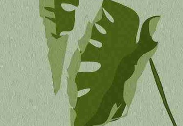 糖心vlog｜关于朋友聚会的琐碎片段合集