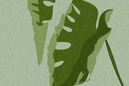 糖心vlog｜关于朋友聚会的琐碎片段合集