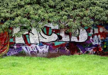 黑料网的社群运营方式为何如此高效