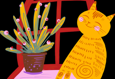 糖心vlog独家视角：vlog剪辑技巧背后的故事