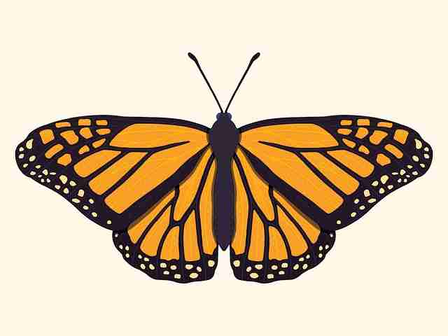 抖音成人版短片热播|午夜悸动挑战尺度极限