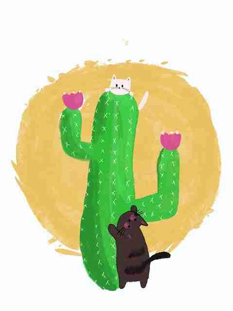 娱乐圈风波再起!“黑料网”曝出娱乐圈老人因言论不当遭多平台封禁,合约纠纷持续发酵