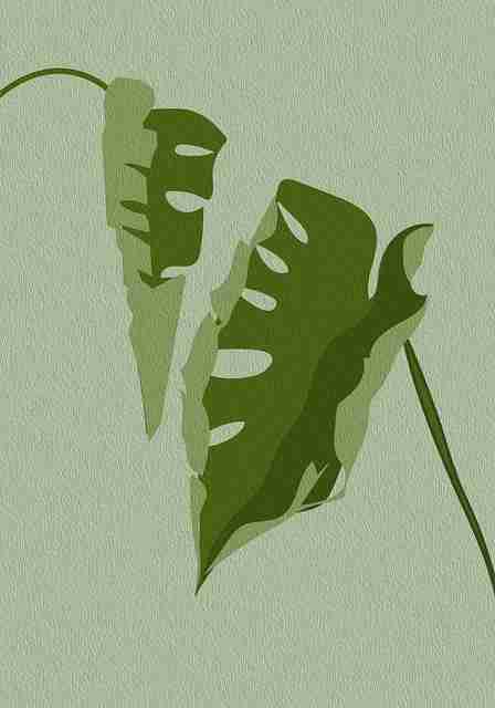 今日看点|成人抖音平台最热深夜放送合集